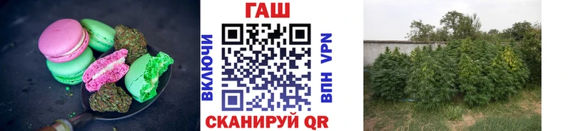 наркошоп  Муравленко  kraken сайт  Еда ТГК конопля 