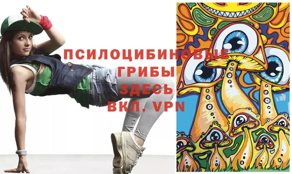 индика Арсеньев