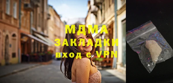 индика Арсеньев