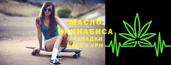 индика Арсеньев