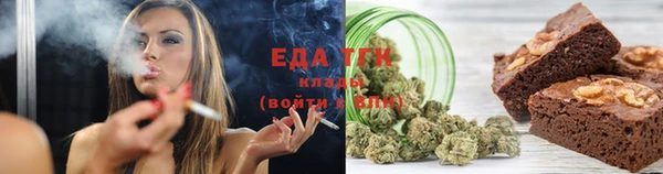 индика Арсеньев