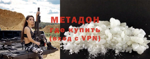 индика Арсеньев