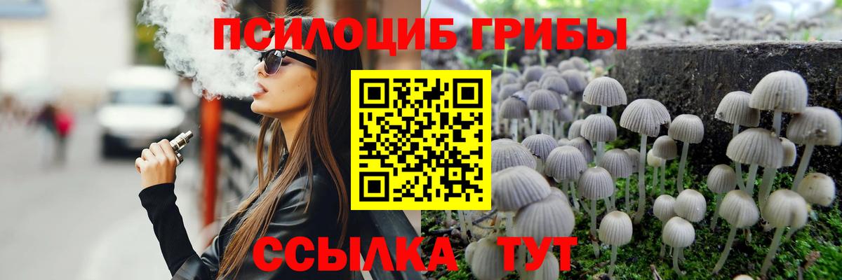 Псилоцибиновые грибы Magic Shrooms Муравленко