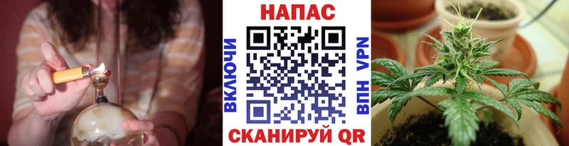 где купить наркоту Муравленко Бошки марихуана SATIVA & INDICA